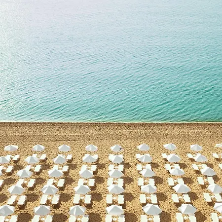 Otel Grifid Foresta (adults Only)